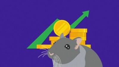 Crypto alerts: An Unsurpassed Hamster Outperforms Warren Buffett and the S&P 500