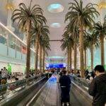 Frequency of Flights to China from the United Arab Emirates to increase