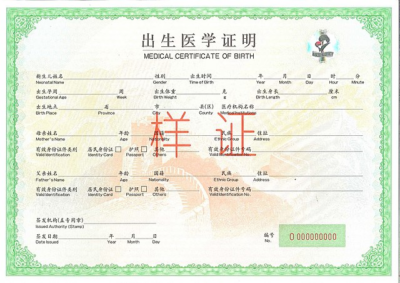 A Comprehensive Guide to Obtain a Birth Certificate in China