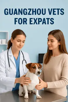 Guangzhou vets for expats