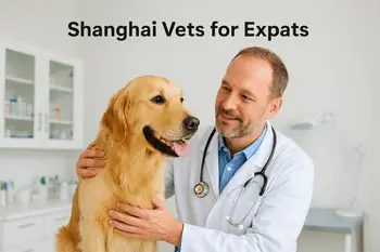 Shanghai vets for expats