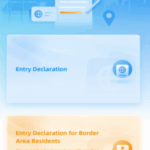 China Online Arrival Card